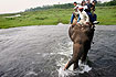Olifantentochtje in het Chitwan National Park