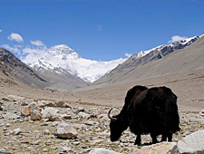 Rongbuk, op een hoogte van 5.000m en dichtbij het Everest Base Camp